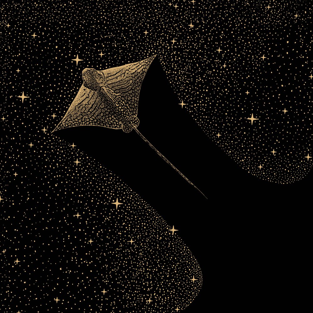 Kosmische adelaarsrog door Alirıza ÇAKIR