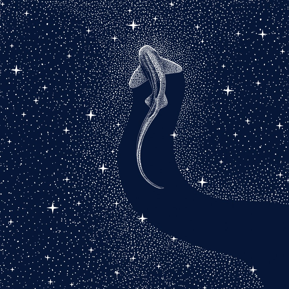 Kosmische haai door Alirıza ÇAKIR