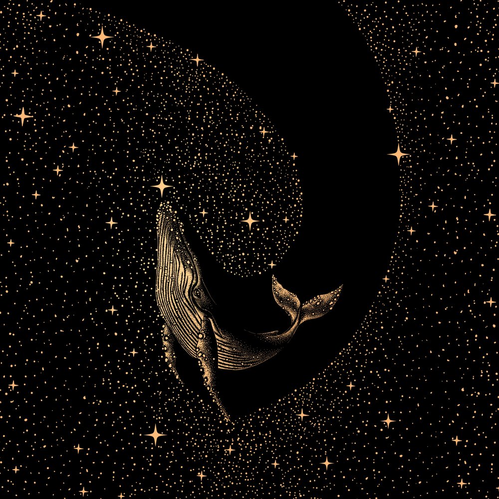 Een walvis tussen de sterren door Alirıza ÇAKIR