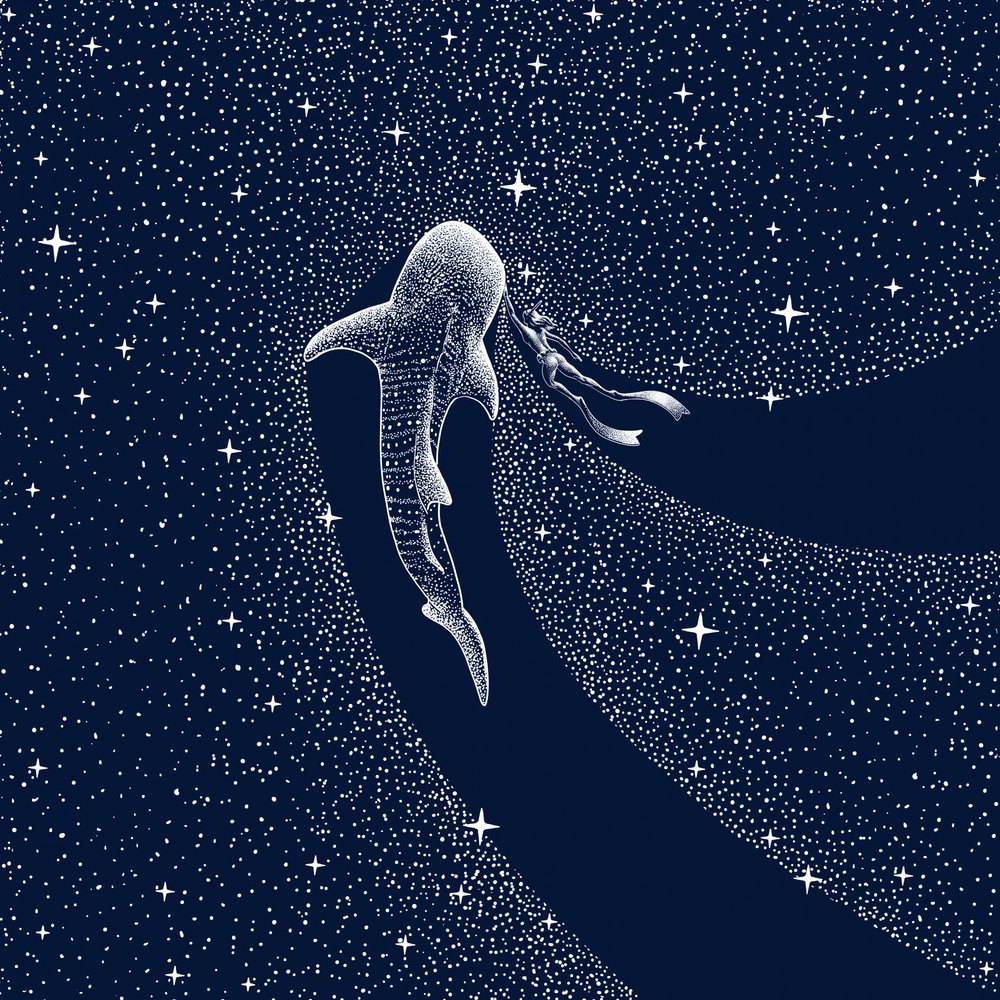 Reis door de Melkweg met de walvishaai door Alirıza ÇAKIR