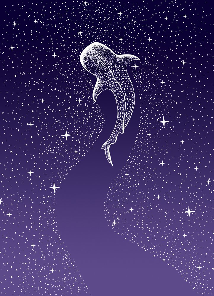 Zwemmen met walvishaaien in de Galaxy door Alirıza ÇAKIR