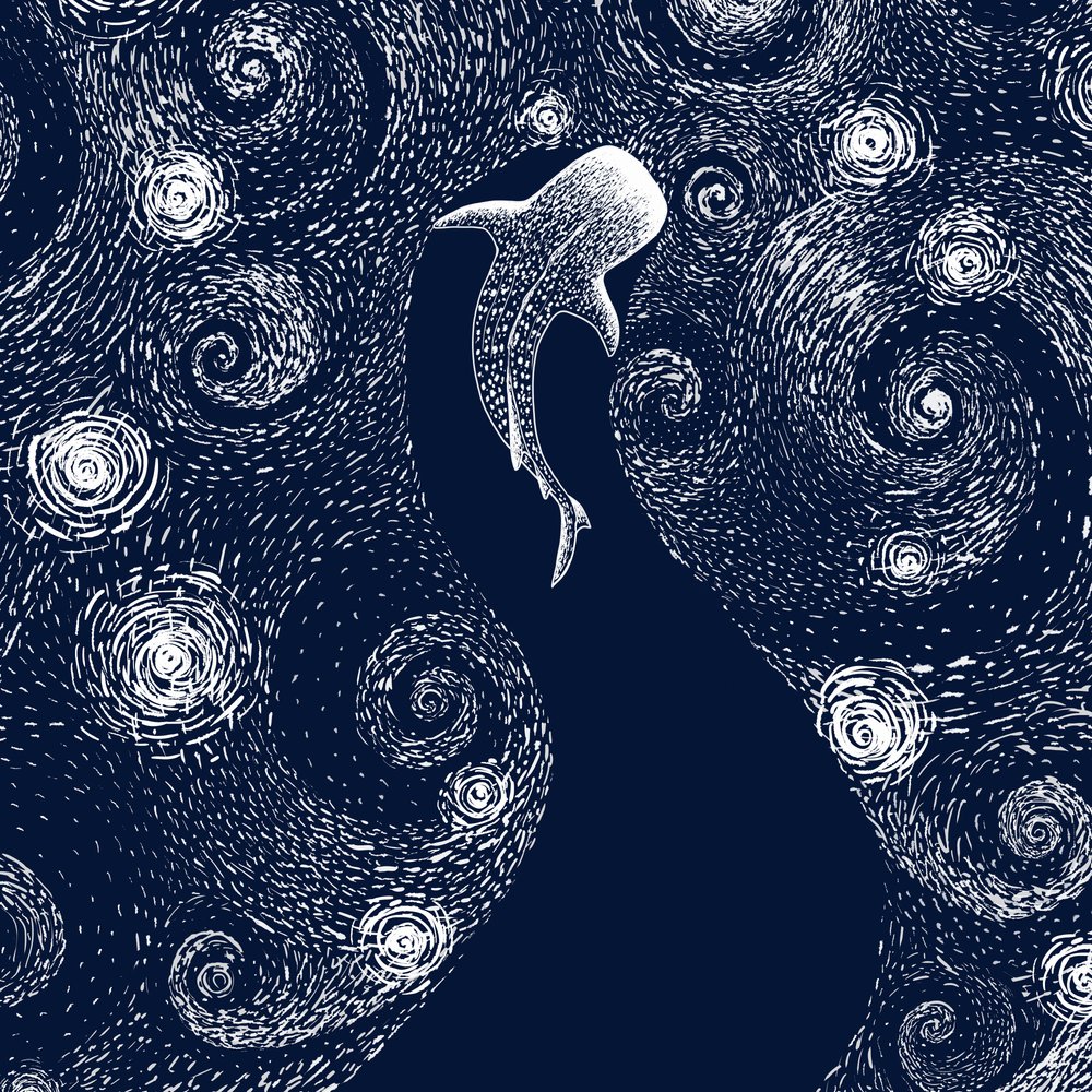 Walvishaai Sterrenzee door Alirıza ÇAKIR