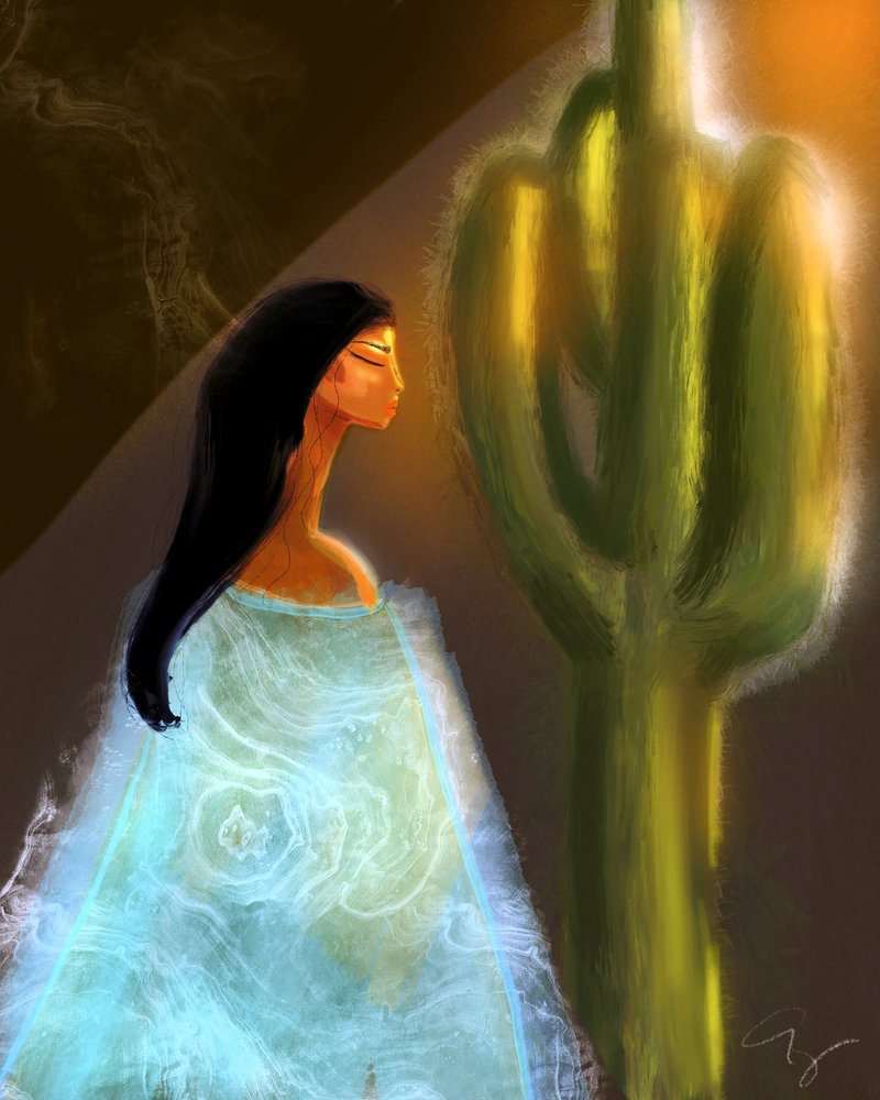 Spirituele woestijngloed door Amy Straley