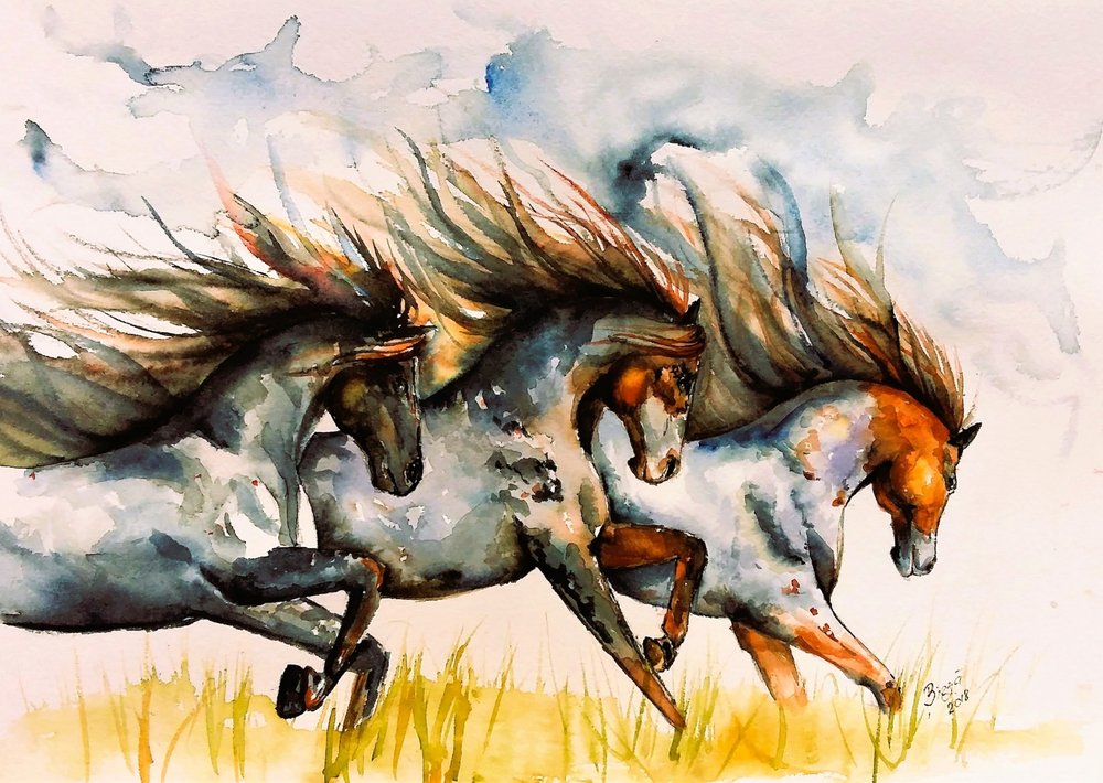 Galopperende paarden door Anda Bieza