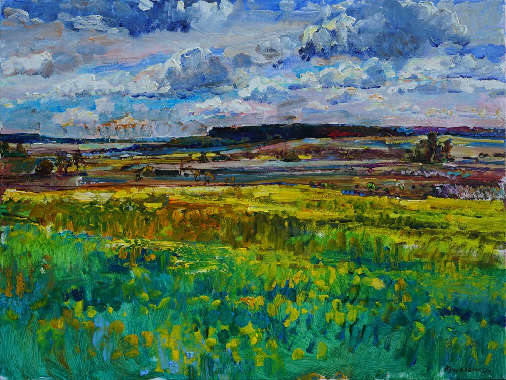 Kleurrijke zomervelden door Andrii Kutsachenko