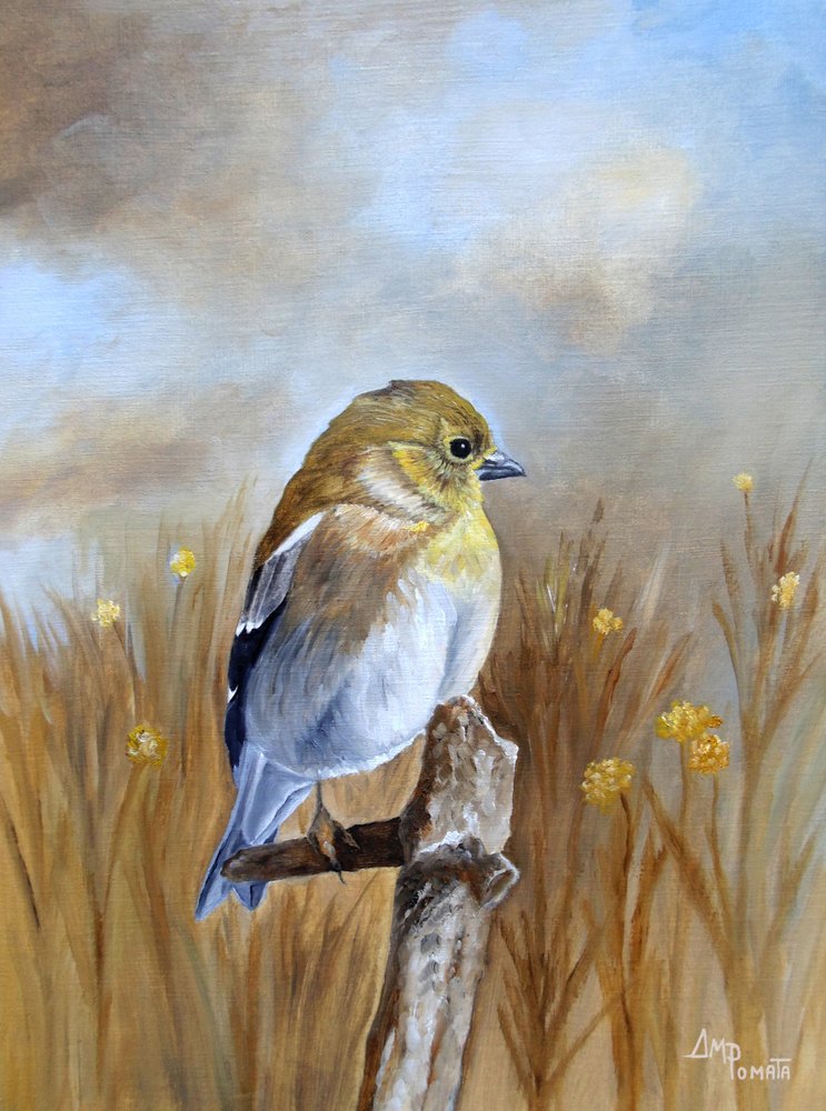 Herfstvink-zangvogel door Angeles M. Pomata