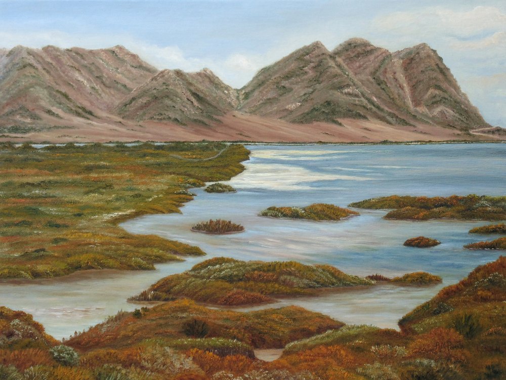 Herfstbergmoerassen door Angeles M. Pomata