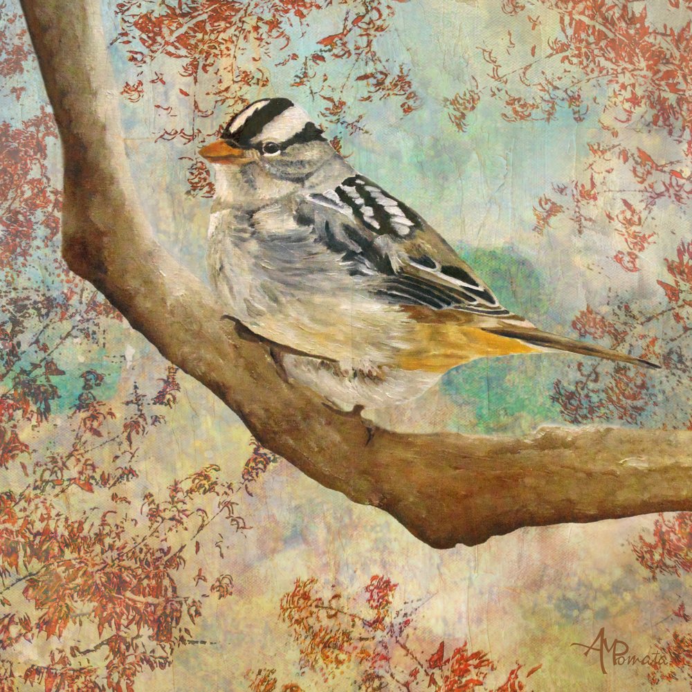 Herfstglinstering door Angeles M. Pomata