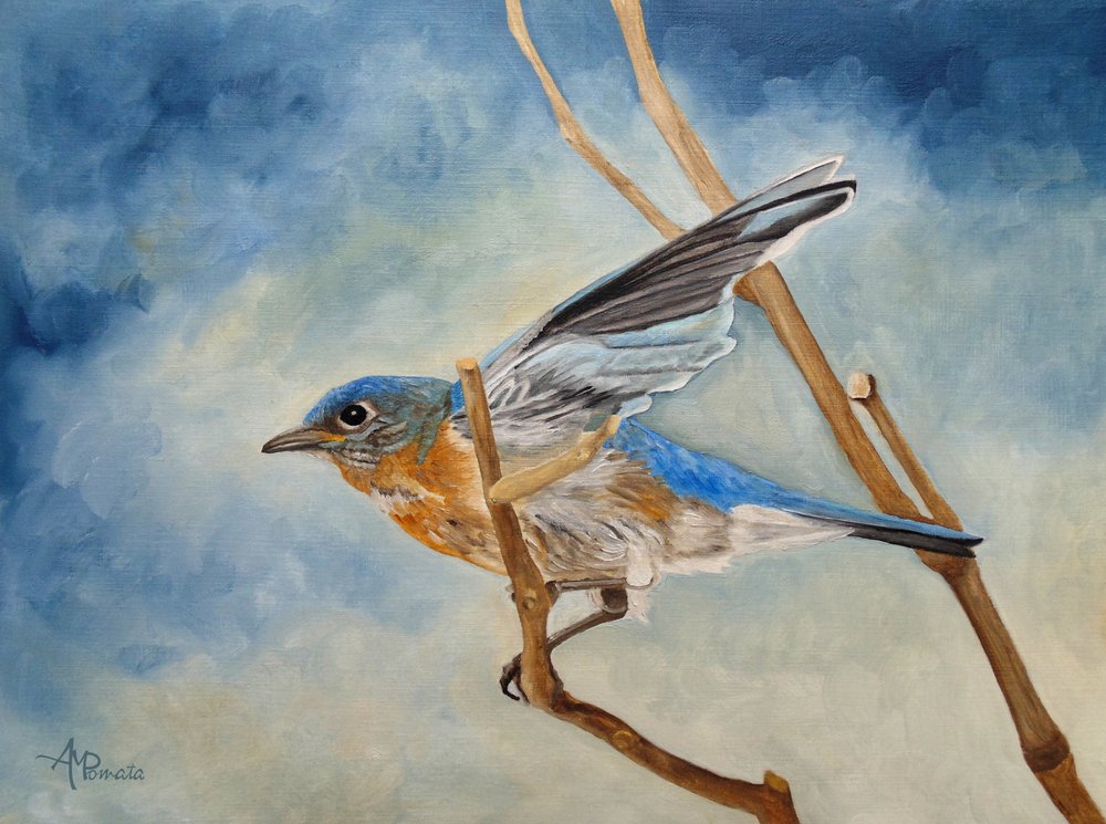 Bluebird gaat de lucht in door Angeles M. Pomata