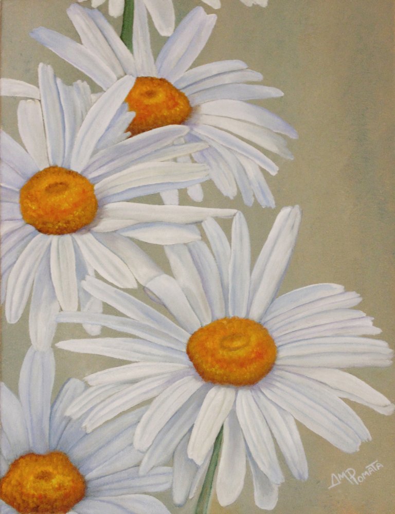 Vrolijke witte madeliefjes door Angeles M. Pomata