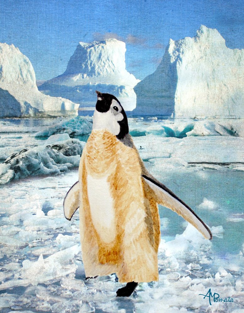 Nieuwsgierige pinguïn op het Antarctische ijs door Angeles M. Pomata