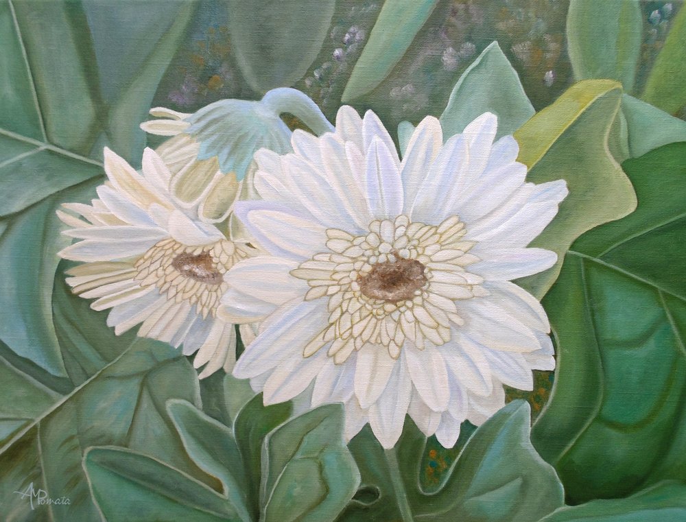 Verse witte gerberabloemen door Angeles M. Pomata
