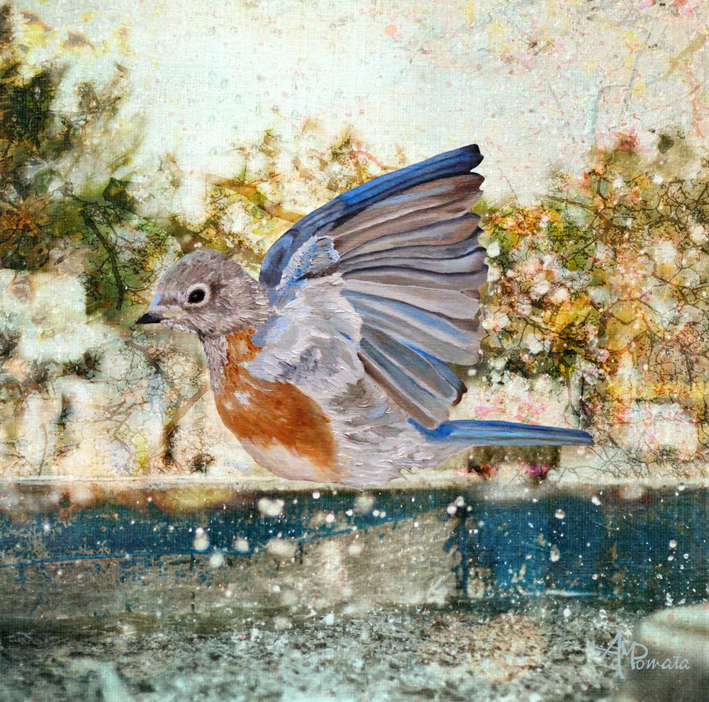 Verfrissend Bluebird-bad door Angeles M. Pomata