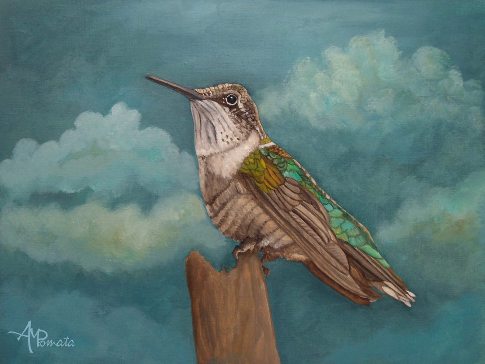De Skyward-kolibrie door Angeles M. Pomata