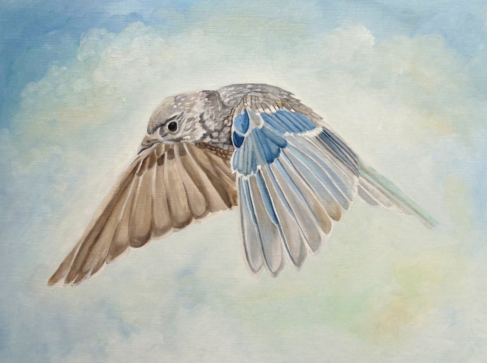De hoogvliegende blauwe vogel door Angeles M. Pomata