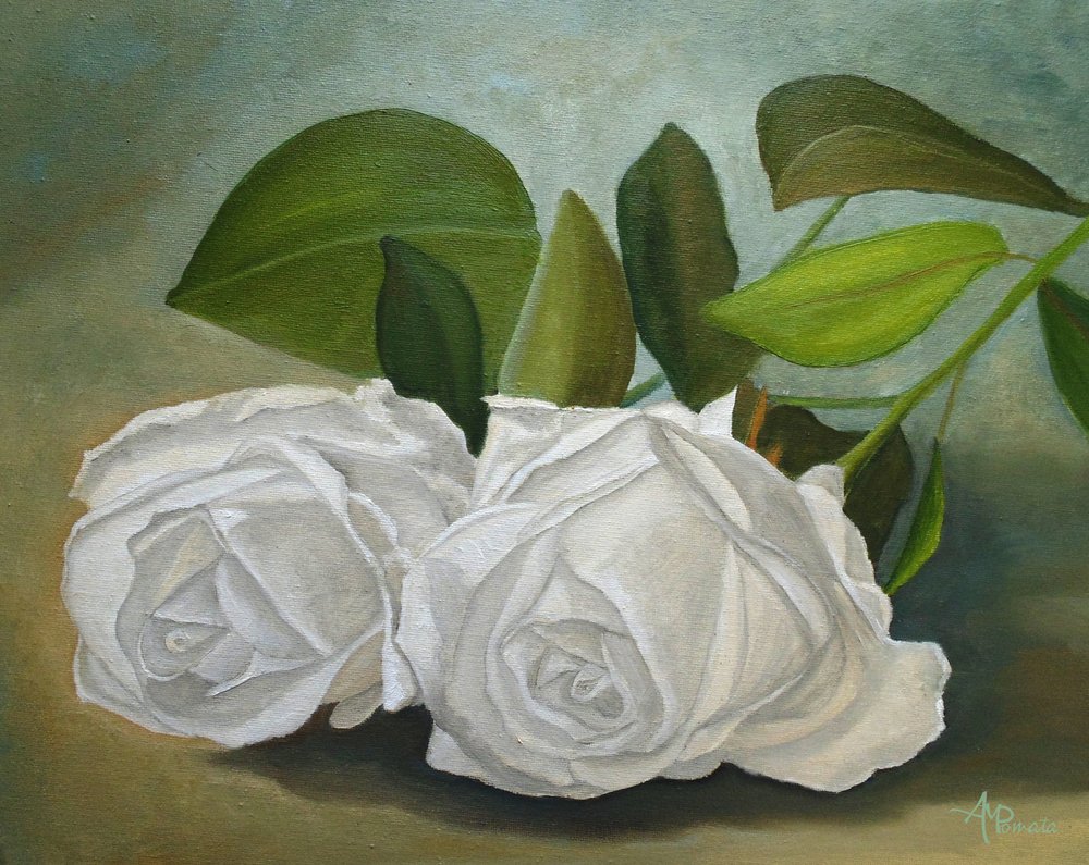 Witte rozen door Angeles M. Pomata