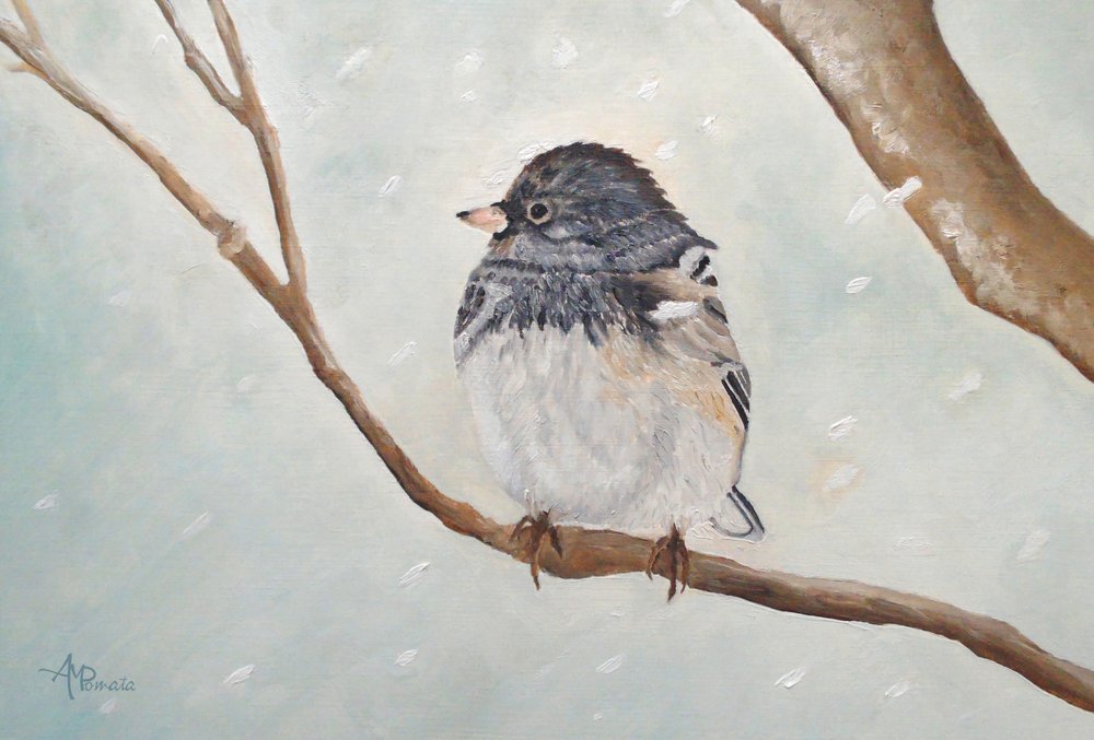 Winterjunco door Angeles M. Pomata