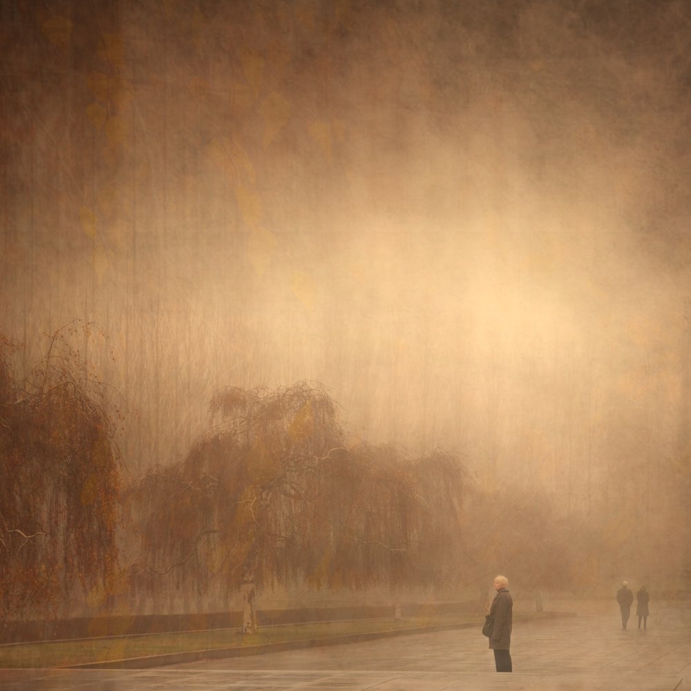 Een dromerige herfstwandeling door Anja Buehrer
