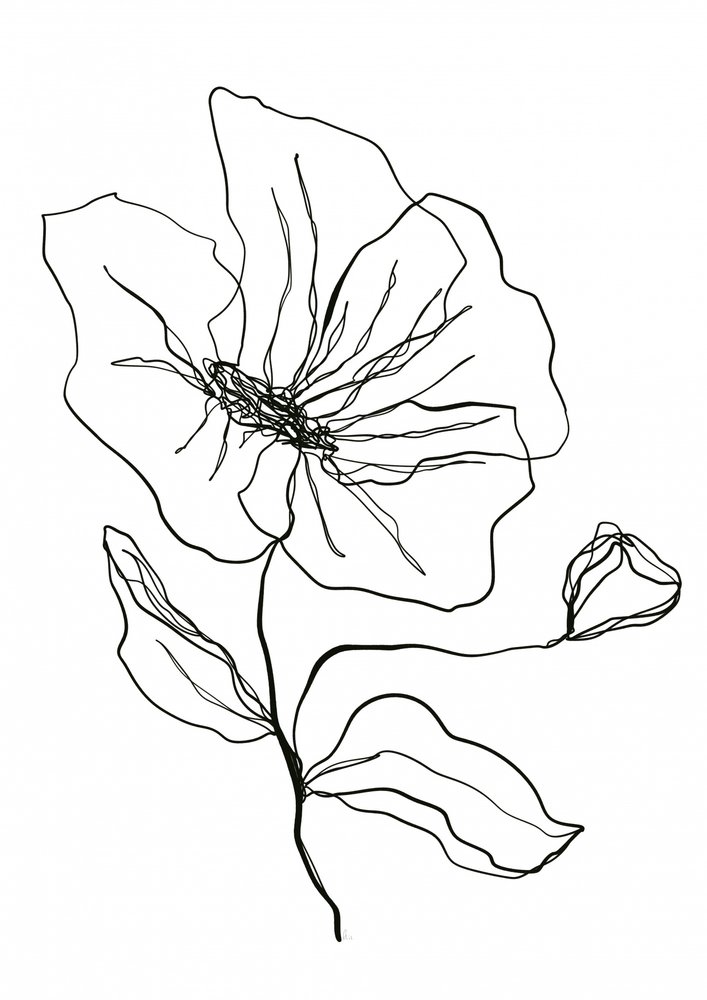 Fijne bloemenschets door Ankie Kooi