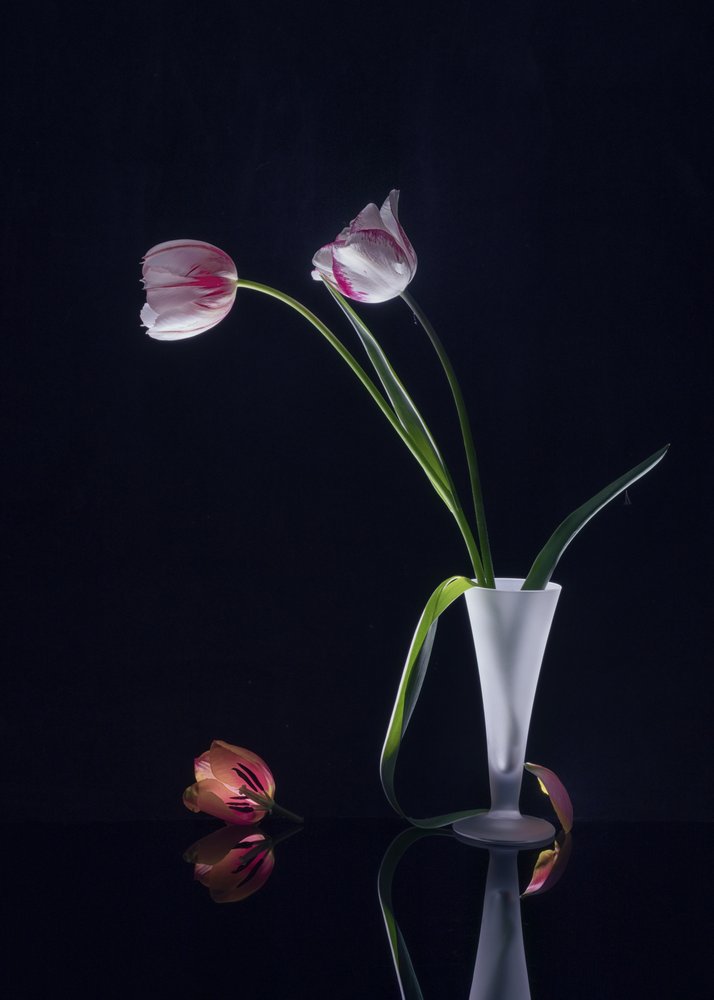 Elegant stilleven met tulpen door Anna Qu