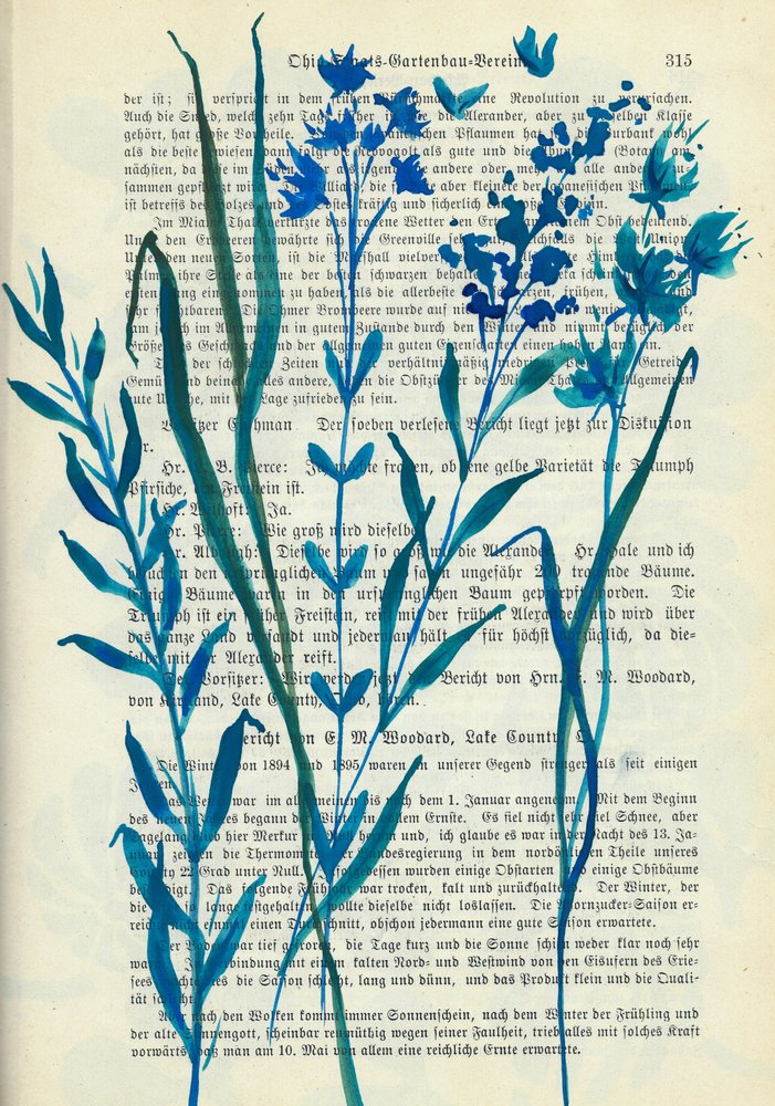 Blauwe bloemen – Oude tekst door Annick