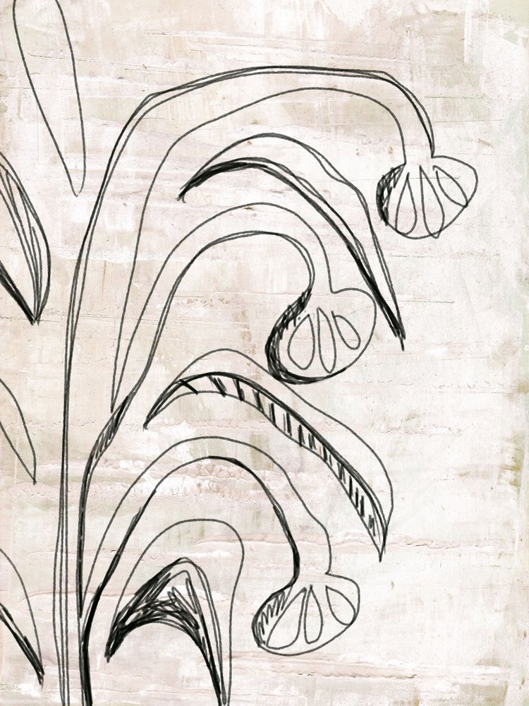 Organic Line Botanicals door Annick