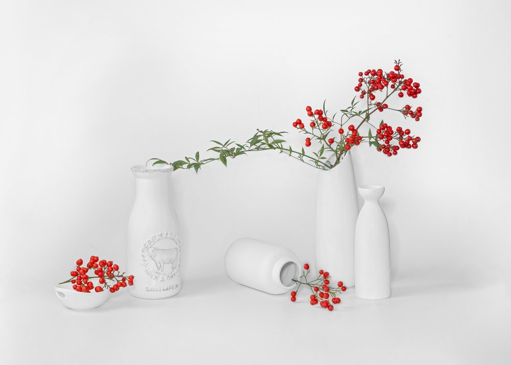 Minimalistische presentatie van rode bessen door Annie Poreider