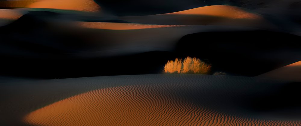  door Asef Azimaie