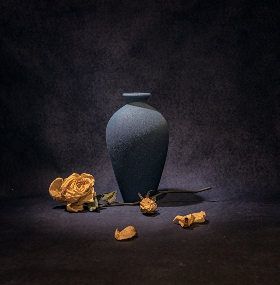 Stilleven met donkerblauwe roos door Betty Liu