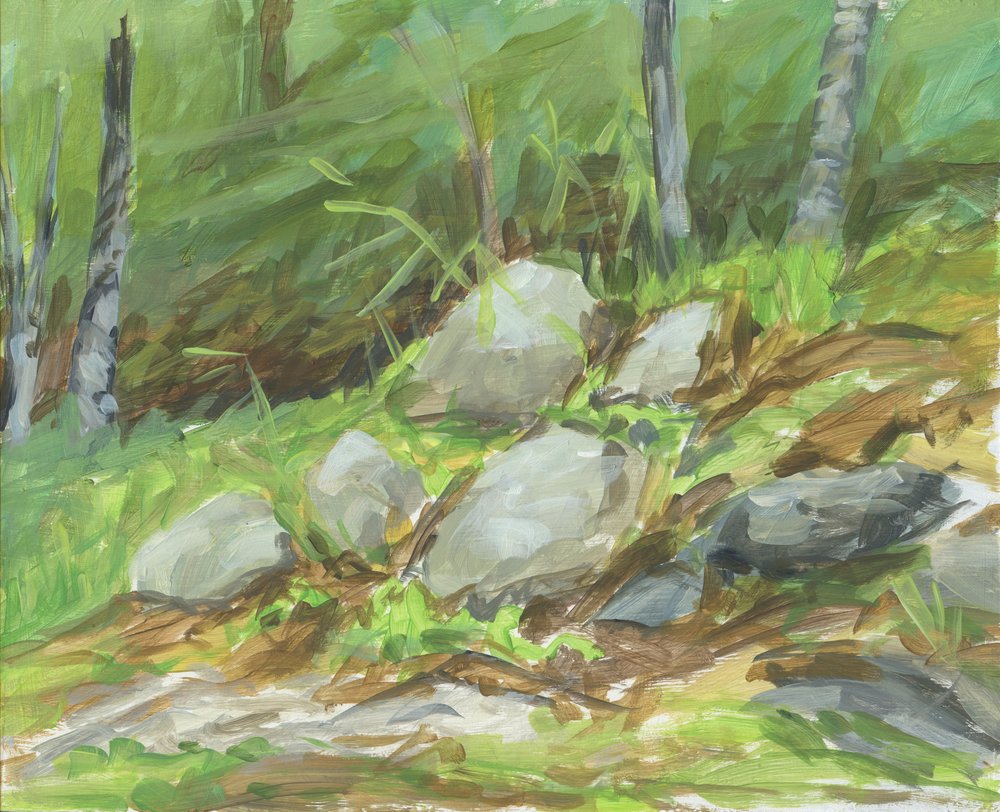 Green Forest Rocks door Carrie Arnold
