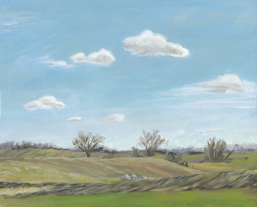 Landschap in de vrije natuur door Carrie Arnold