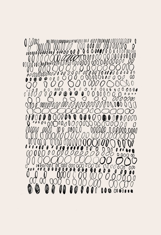 Biologisch kiezelraster door Catalina Somolinos