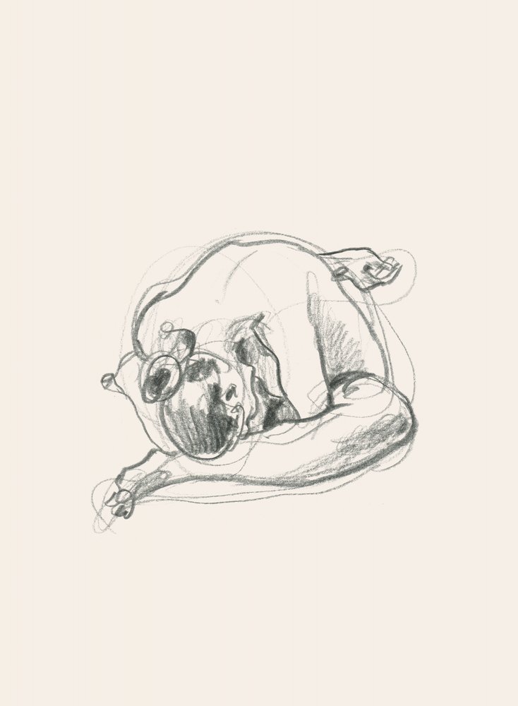 Rustige, opgerolde figuur door Catalina Somolinos