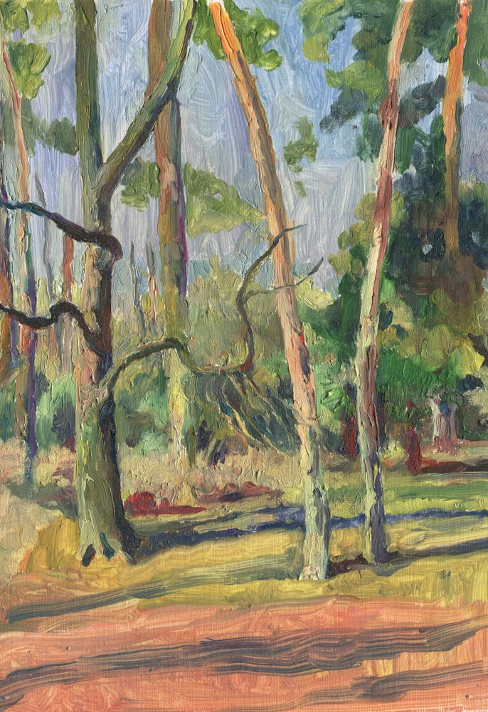 Zonovergoten bospad door Catalina Somolinos