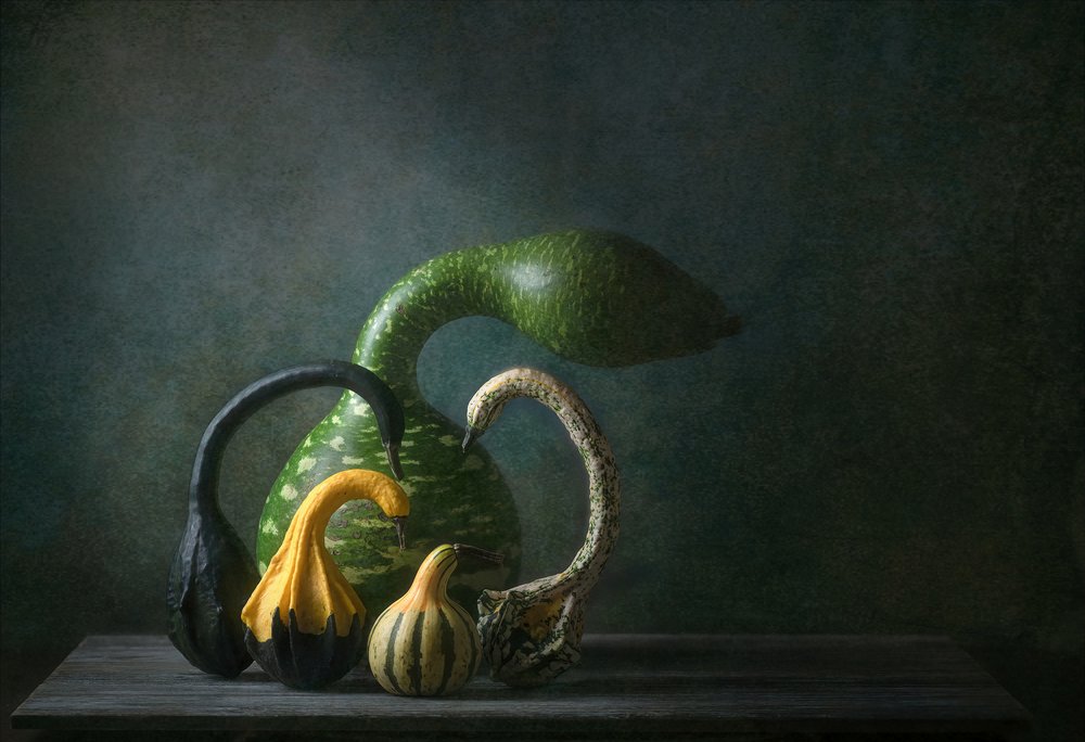Stilleven met herfstpompoenen door Catherine Wang