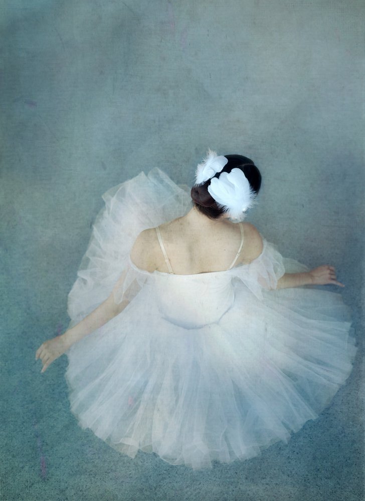 Elegante ballerina Swan door Catherine Wang