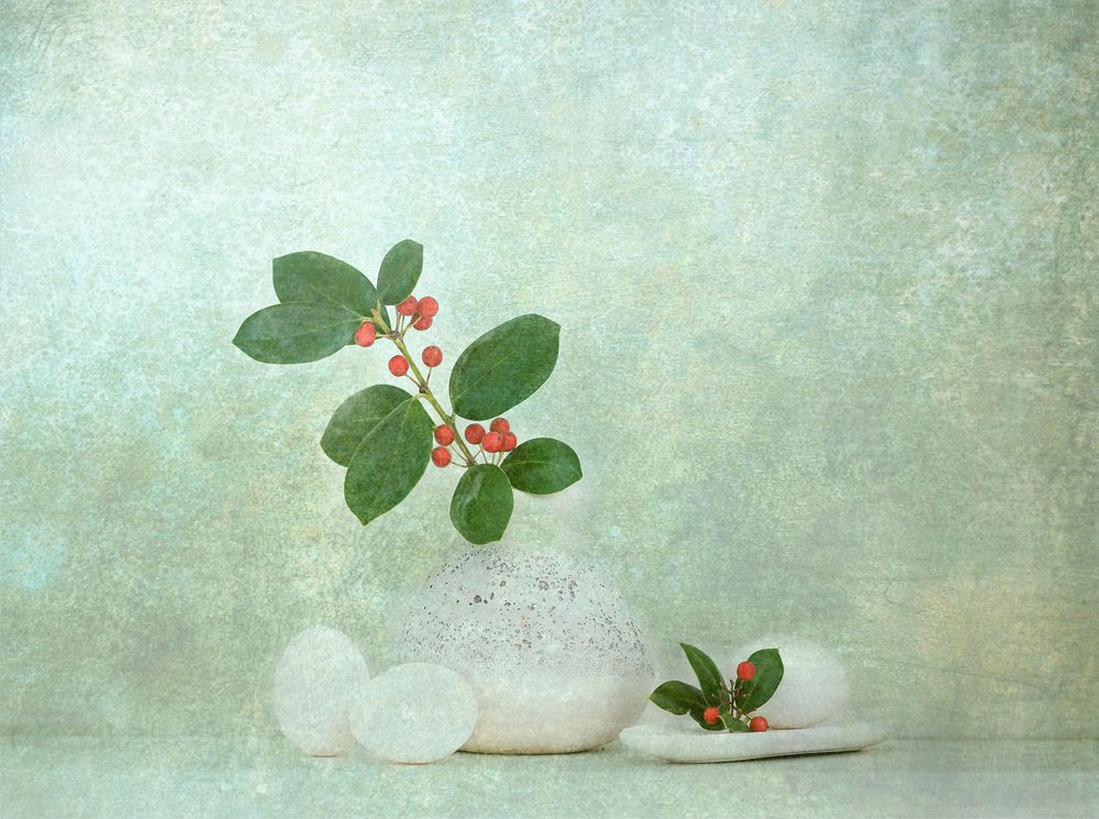 Natural Berry Stone Zen door Catherine Wang