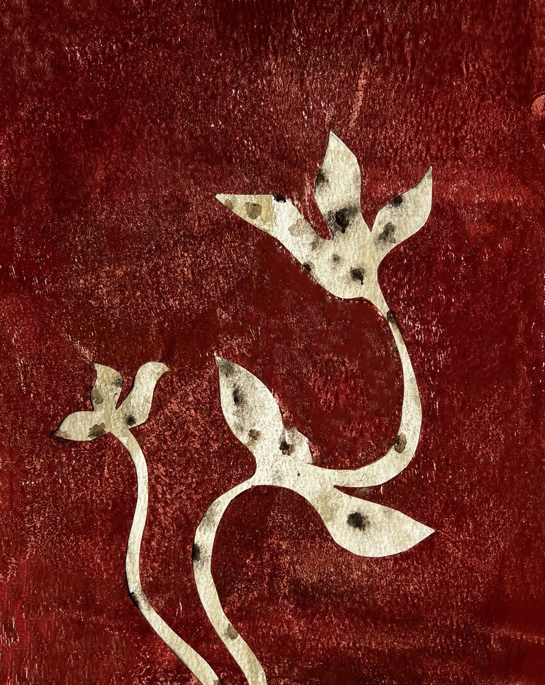  door Christina Misuro