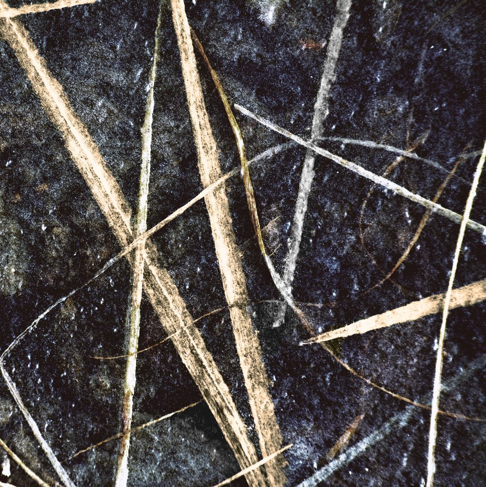 Samenvatting: Bevroren gras door Christina Sillen