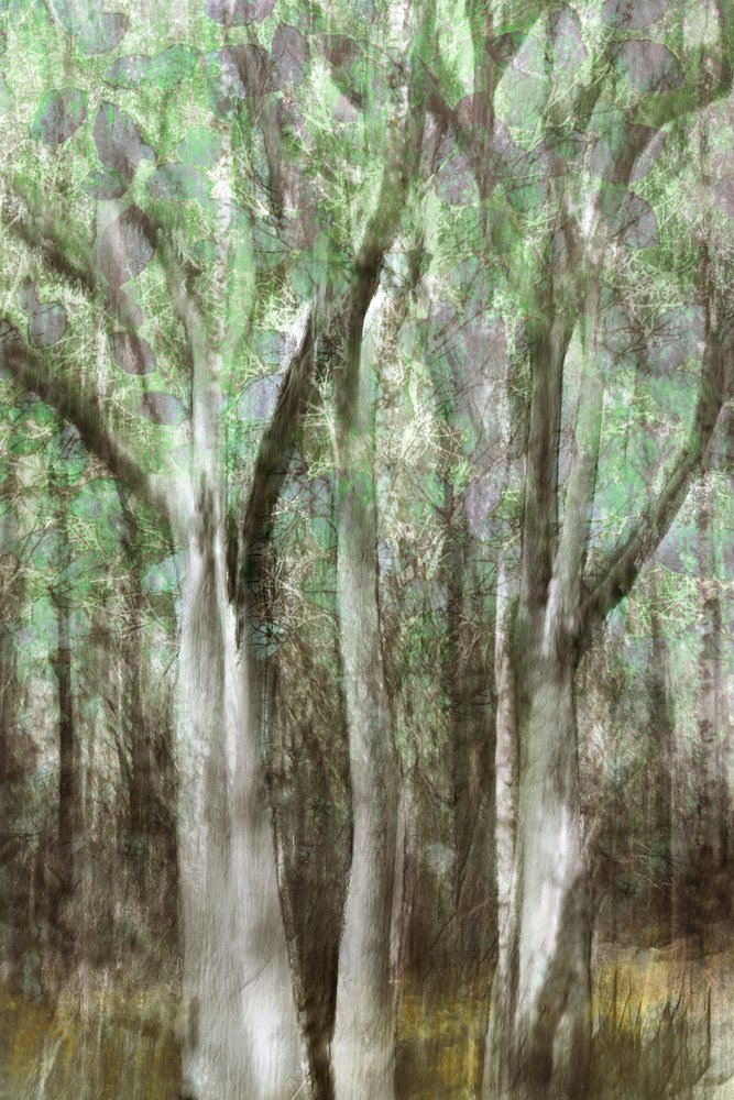 Samenvatting: Rust in het bos door Christina Sillen