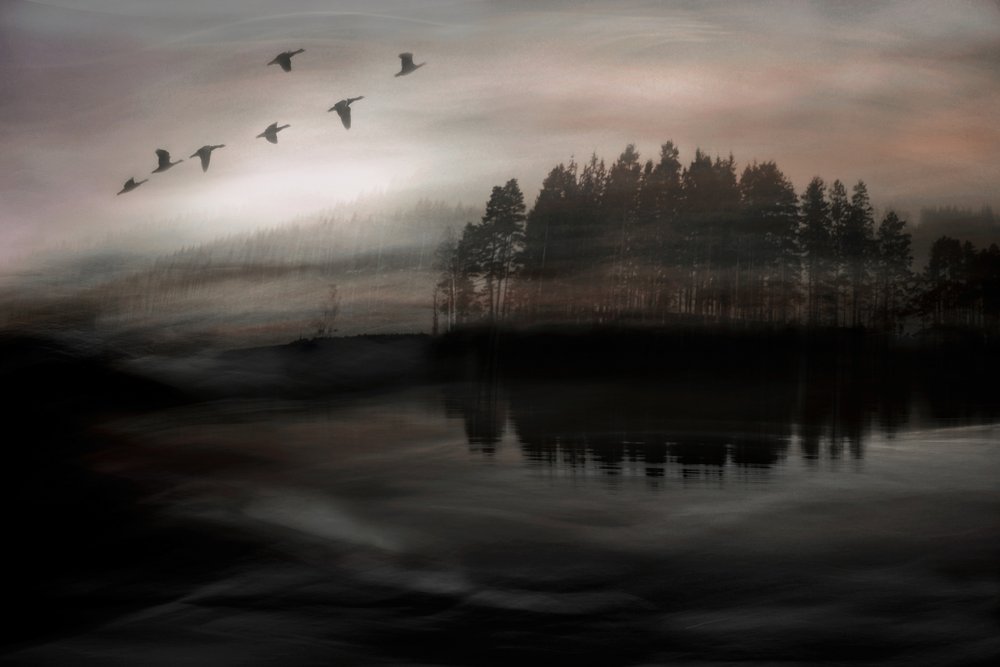  door Christina Sillen