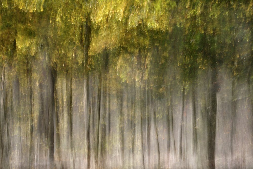 Dromerig herfstbos door Christina Sillen