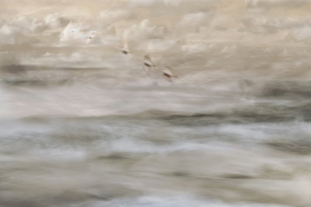 Dromerige vogels boven het water door Christina Sillen
