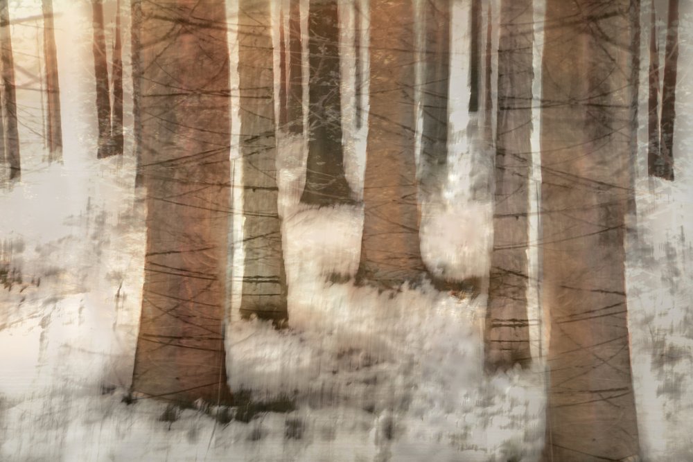 Dromerig winterbos door Christina Sillen