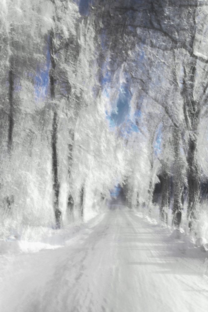Etherisch besneeuwd pad door Christina Sillen