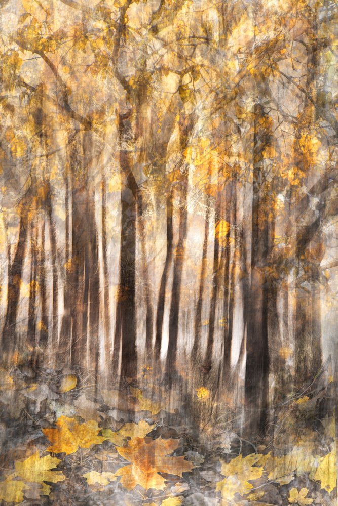  door Christina Sillen