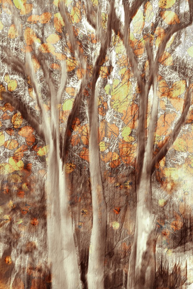 Gouden herfstbos door Christina Sillen