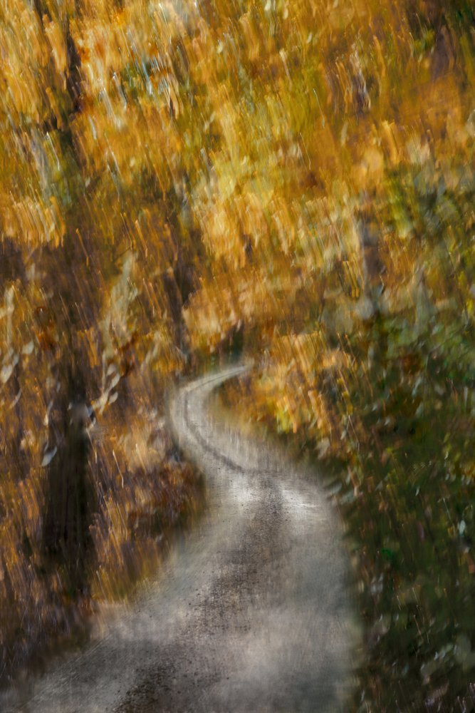 Gouden herfstweg door Christina Sillen
