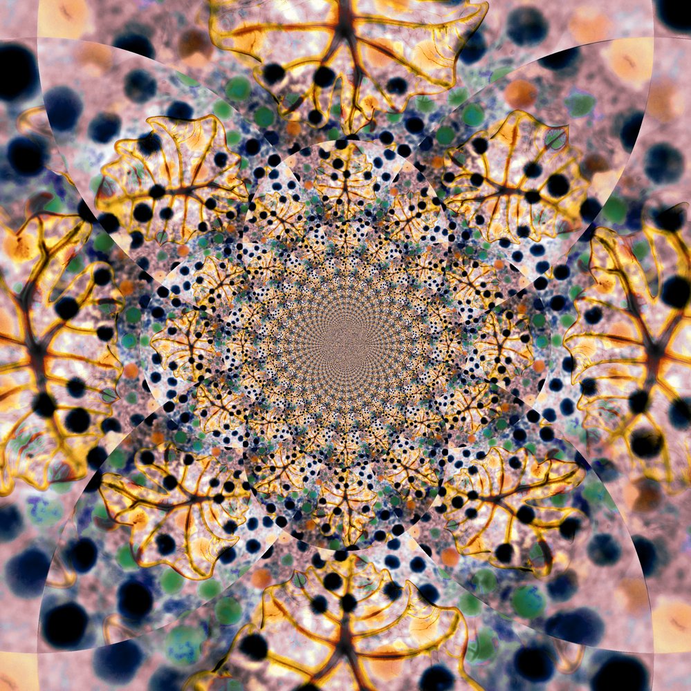  door Christina Sillen