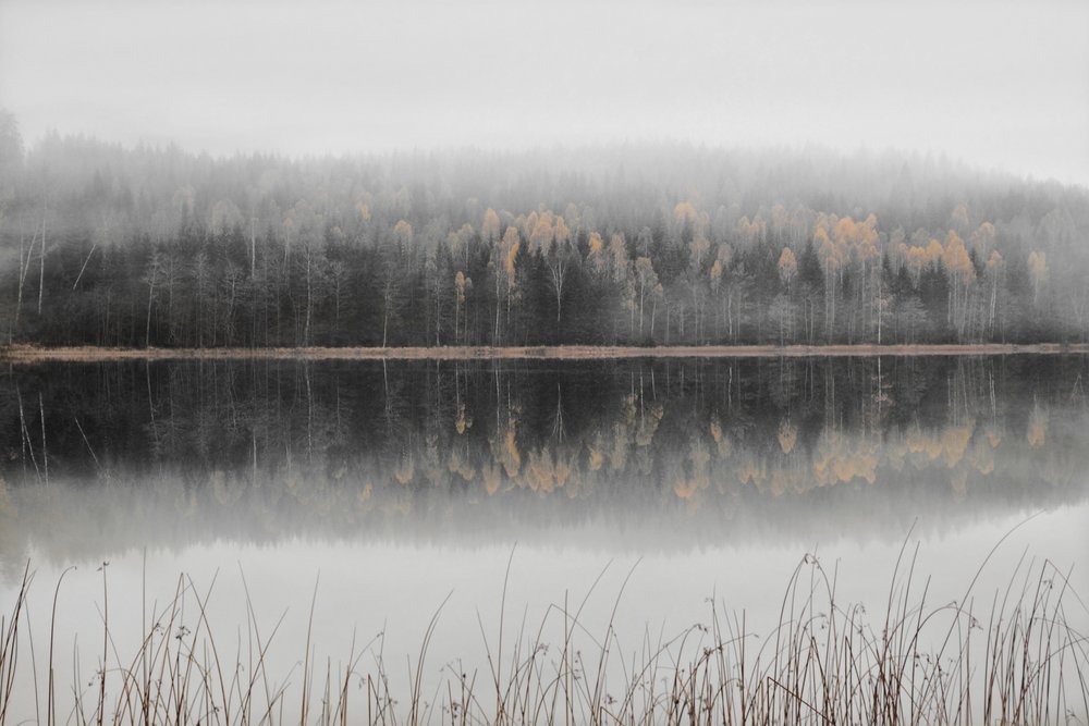 Mistig herfstmeer door Christina Sillen